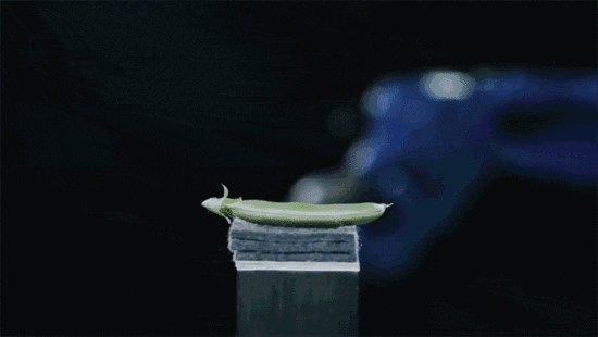 <strong>中國精（jīng）密減速器技（jì）術如何趕超日本（běn）</strong>