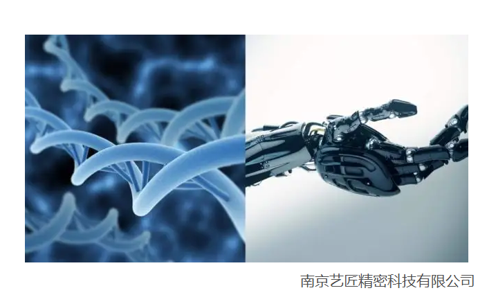 <strong>現代醫學以及生物工程技術的精密零件（jiàn）器材的發（fā）展</strong>